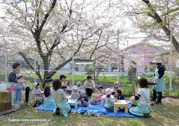 天山保育園お花見（A3ｻｲｽﾞ）HP用.jpgのサムネール画像のサムネール画像