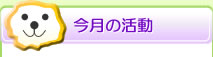 今月の活動